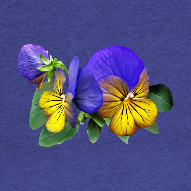 Small Yellow and Purple Pansies by SusanSavad